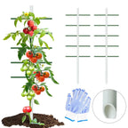 Plant Climbing Trellis (4FT)