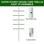 Plant Climbing Trellis (4FT)