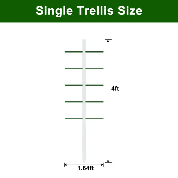 Plant Climbing Trellis (4FT)