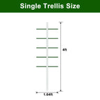 Plant Climbing Trellis (4FT)