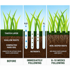 Lawn Aerator Shoes – Adjustable Spike Sandals for Grass & Soil Health
